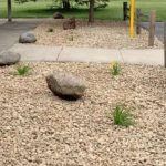 landscaping with rocks