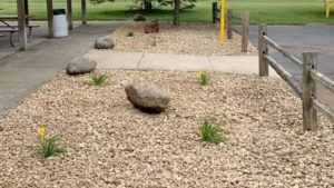 landscaping with rocks