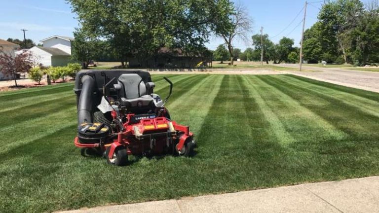 Give Your Lawn a Good Spring Cleanup