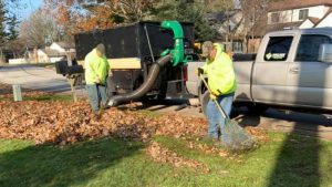 leaf removal