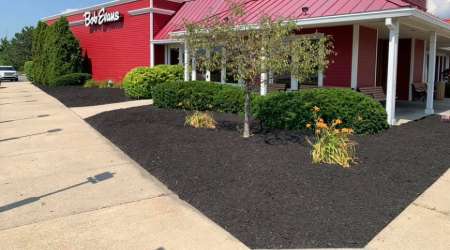 mulch installation